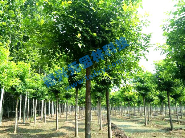 �c���鿴Ԕ����Ϣ���}����Ϟ ��x�Δ���2534